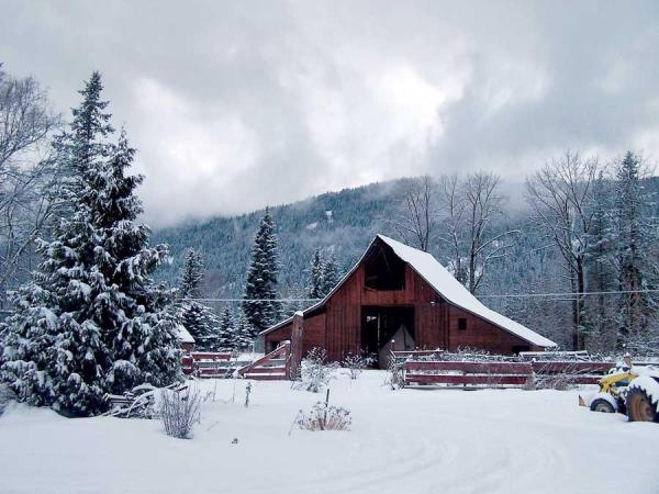 Owning your own farmstead may not be practical now, but it’s a wonderful dream for the future.